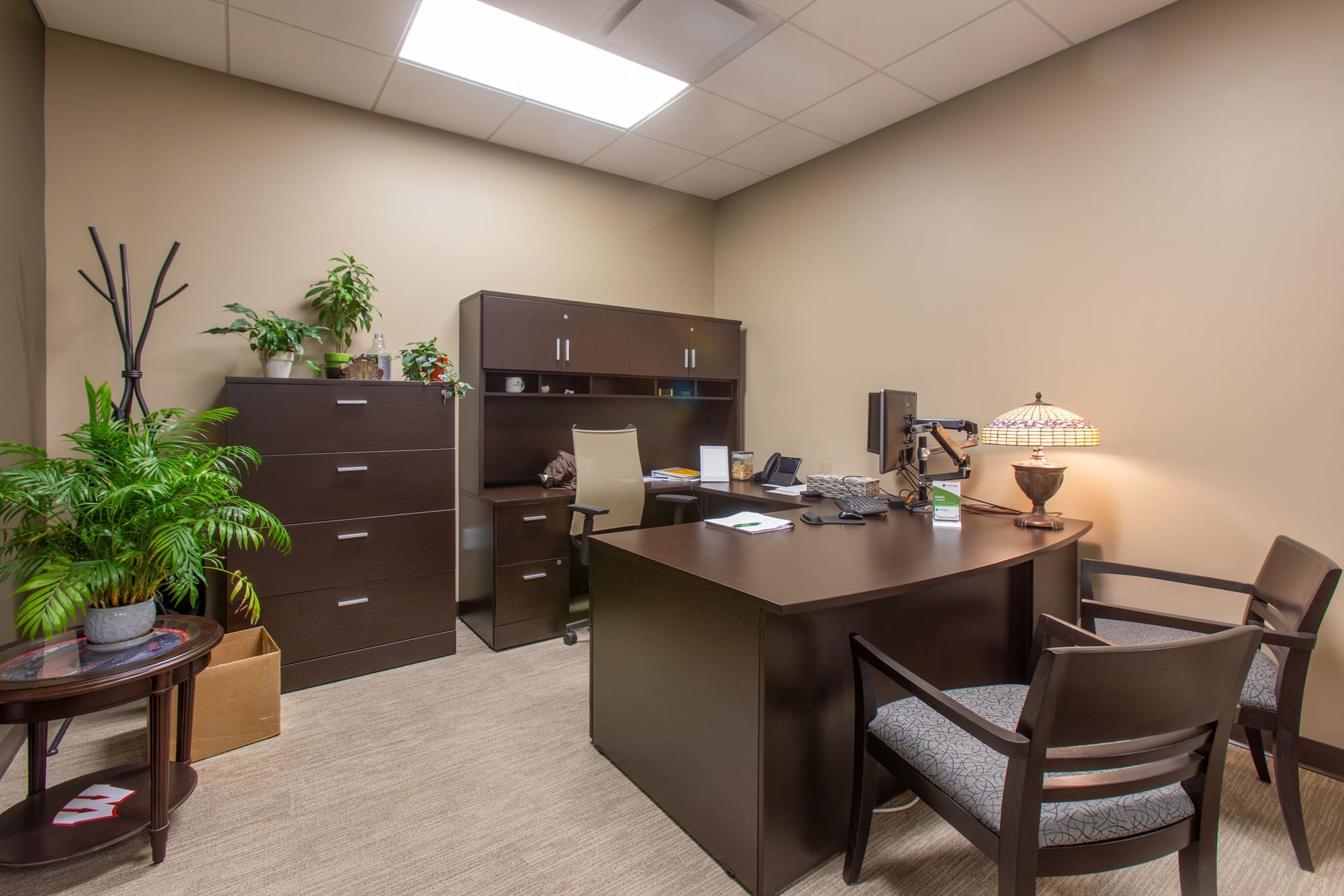 Professional commercial office space featuring a dark wood desk, seating, storage, modern lighting, and indoor plants—ideal for realtors.