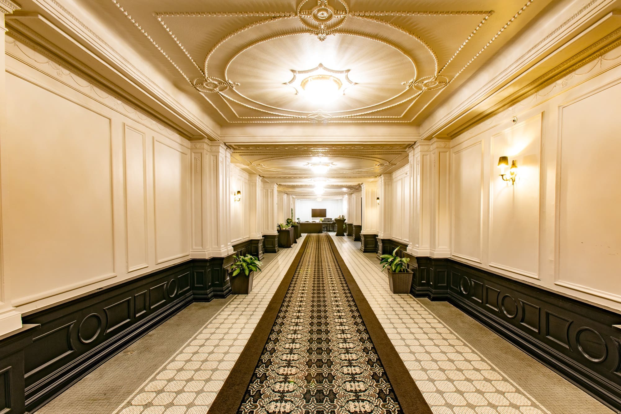 Elegant commercial property hallway with decorative ceiling, upscale lighting, potted plants, and patterned carpet leading to a reception desk.